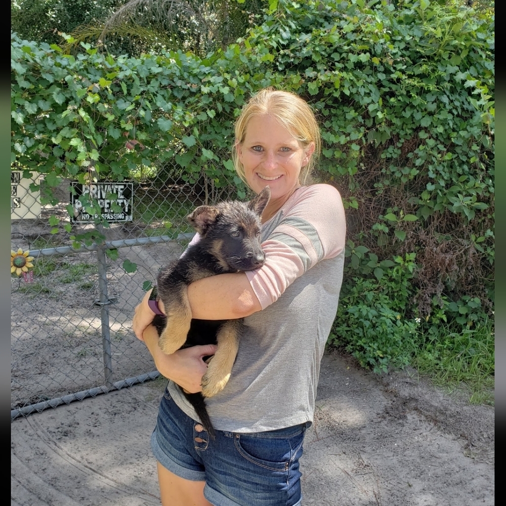 🐶💓LIVE NOW💓🐶 HELP US HELP THEM SHOP OUR 🐕🐈🐾RESCUE CLOSET - Picture 9 of 14